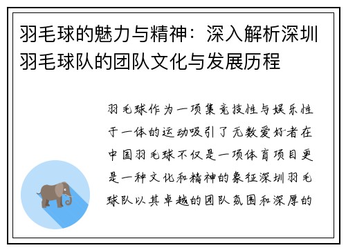 羽毛球的魅力与精神：深入解析深圳羽毛球队的团队文化与发展历程